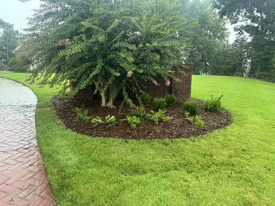 A crape myrtle bed beside a herringbone brick walk