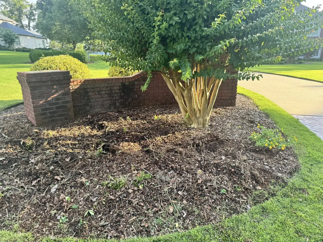 A freshly mulched bed at a brick pillar wall