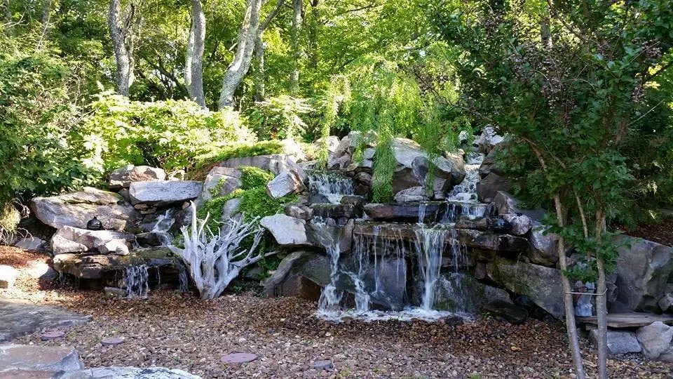 A multi-drop waterfall among ferns and driftwood