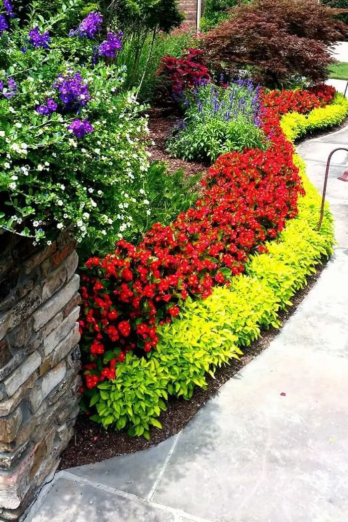 Red and gold annuals along a curving walk