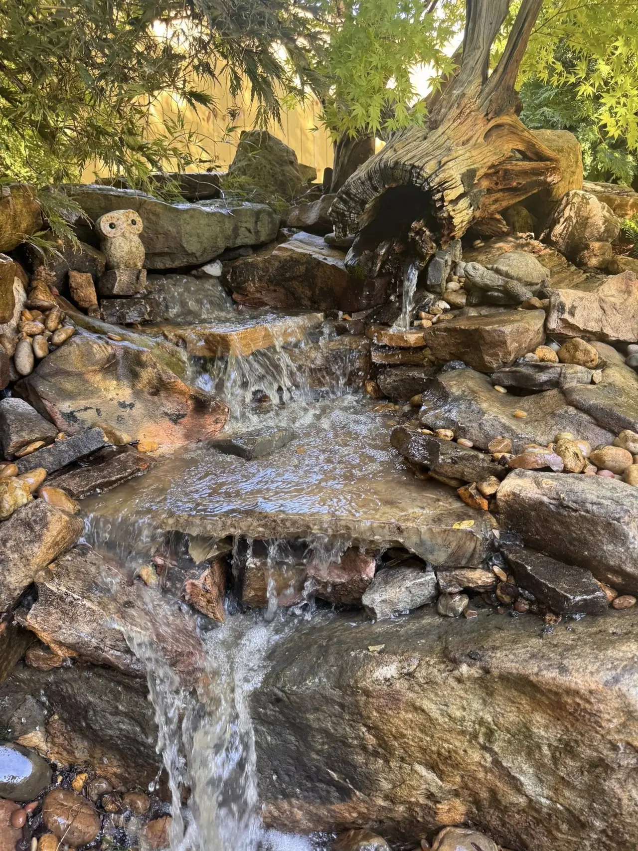 A small stream spilling over driftwood and stone