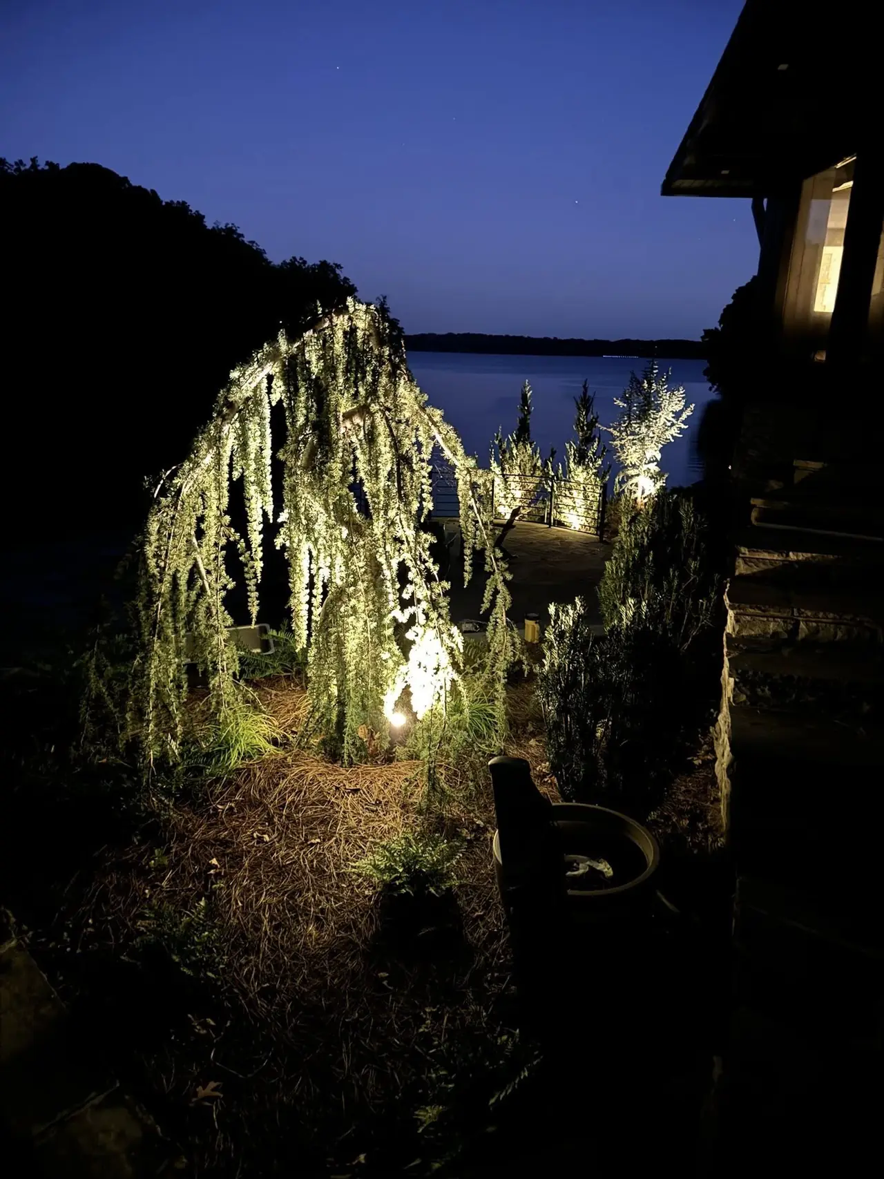 A weeping tree uplit beside the lake at dusk
