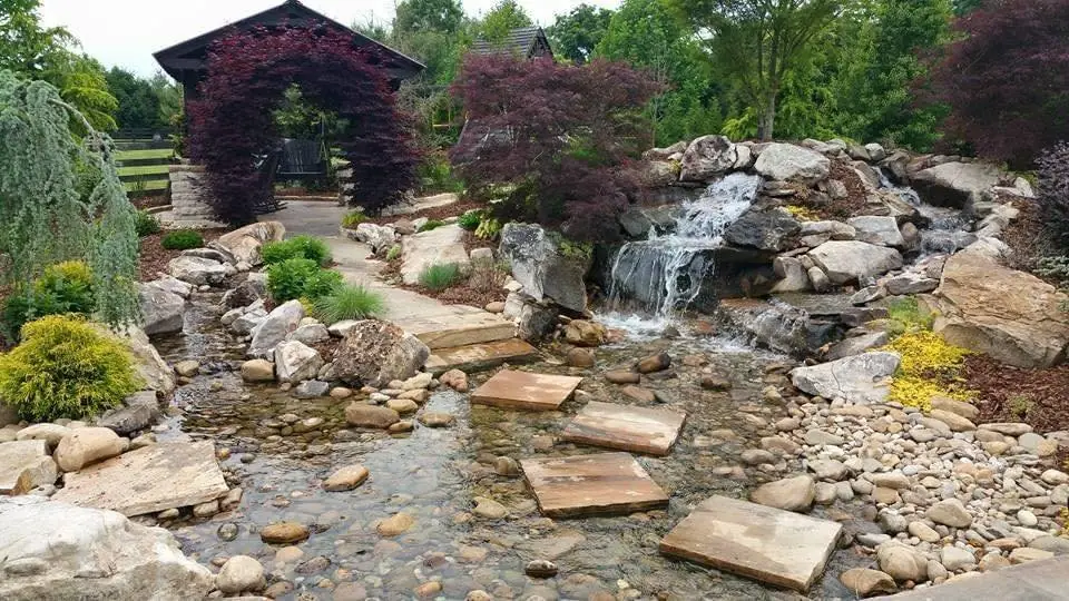 A stream with flat stepping stones under Japanese maples